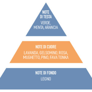 Una delle piramide olfattive di una fragranza della linea Taboga Scents continuativa