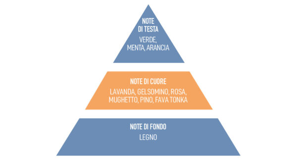 Una delle piramide olfattive di una fragranza della linea Taboga Scents continuativa