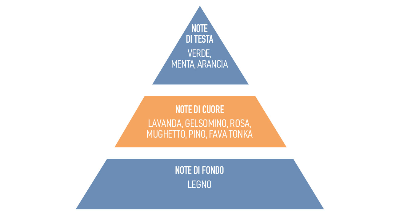 Una delle piramide olfattive di una fragranza della linea Taboga Scents continuativa